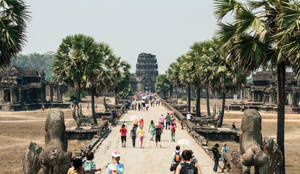人們在陽光明媚的日子裡穿過棕櫚樹走向吳哥窟寺廟。