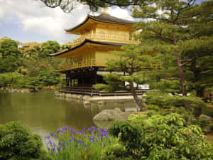 金色寺廟亭閣被水和綠植環繞，點綴著紫色花朵。