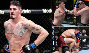 籠中兩名男性MMA拳手，一人站立一人纏鬥 — 拼貼 GIF 壁紙