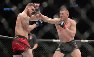 兩名戴著MMA手套的男性拳手在八角籠內互相出拳。