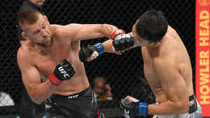 兩名男性拳手在籠中於綜合格鬥比賽中互相出拳。