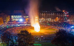 夜間發光的大型火雕，人群在公園觀看