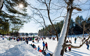 一群人在陽光明媚的日子裡在冬季公園的雪地裡玩耍。