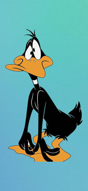 Daffy Duck 面帶不悅表情坐在漸變青綠色背景上。