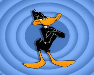 Daffy Duck 以自信姿勢交叉雙臂，背景為藍色螺旋。