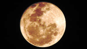 滿月帶有琥珀色和棕色色調，黑色天空