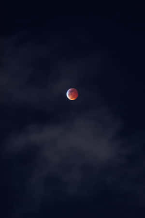 血月在繁星點點的夜空中穿雲升起。