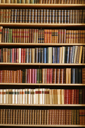 木製圖書館書架上的復古皮革裝訂書籍。 — 書籍 壁紙