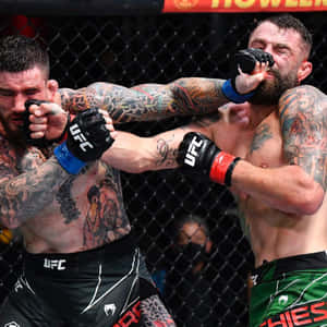 兩名MMA拳手在UFC比賽期間於籠中互相出拳。