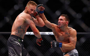 兩名男性拳手在UFC八角籠內互相出拳。