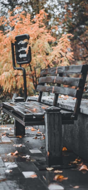 下雨天，公園裡一張木長椅被落下的橙色樹葉覆蓋。