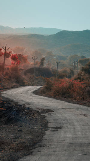 蜿蜒的鄉村道路穿過秋日山丘，有紅葉和遠山，黃昏時分。