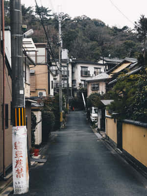 日本住宅區一條狹窄寧靜的街道，有傳統房屋和茂密的植被。