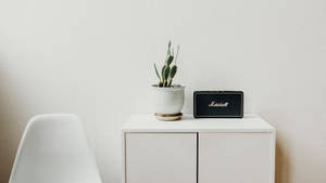 白色櫃子裡有仙人掌和Marshall喇叭，旁邊是白色椅子。