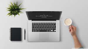 Hand holding coffee cup beside laptop notebook and plant on clean desk.