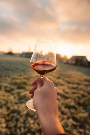 夕陽下霜凍田野上舉起酒杯的手