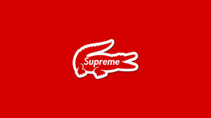 白色Supreme標誌，紅色背景上有鱷魚剪影。 — 鱷魚 壁紙