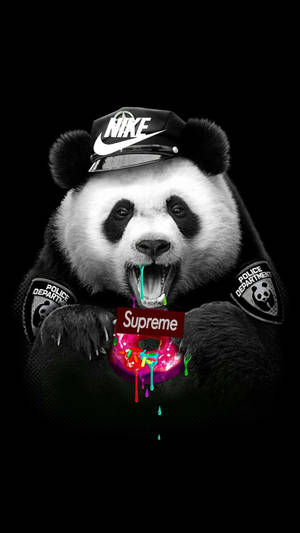 穿著警察制服的熊貓咬著一個色彩繽紛、滴著糖霜的Supreme甜甜圈。 — 熊貓 壁紙