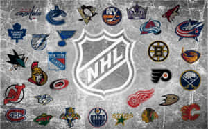 NHL 球隊標誌顯示在磨損的混凝土表面上。