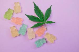 軟糖熊和大麻葉在紫色背景上