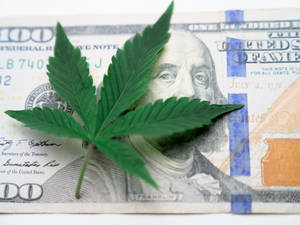 一片大麻葉覆蓋了一百美元鈔票的一部分。