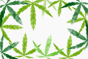 綠色大麻葉在白色紋理背景上排列成圓形水彩框架。 — 花園牆外 壁紙
