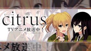 兩個穿著校服的動漫女孩，擁有富有表現力的眼睛和日文字。