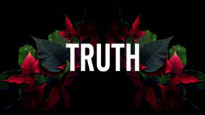 黑色背景上，白色字母「truth」被紅色聖誕紅花和綠葉包圍。