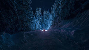 紅色汽車在星空下夜間穿越雪覆蓋的森林