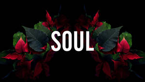 粗體白色文字 SOUL 被紅色聖誕紅花朵和綠色葉子框住，背景為黑色。