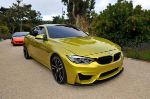 黃色BMW M4停在碎石上，後面有綠色灌木和一輛紅色汽車。