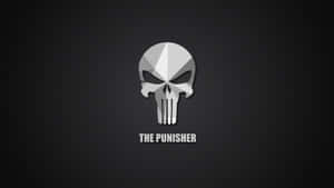 一個風格化的銀色骷髏標誌，下方有 'THE PUNISHER' 文字，位於深灰色背景上。