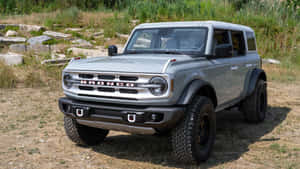 銀色福特Bronco SUV停放在有岩石和綠植的草地上。