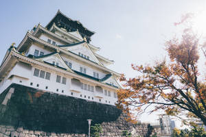一座歷史悠久的日本城堡，有秋樹和清澈的藍天。 — 東京卍復仇者 壁紙