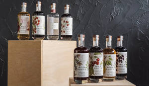 八瓶Wild Roots伏特加酒展示在木塊上，背景是深色牆壁。