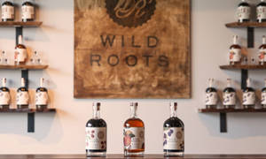 三瓶 Wild Roots 烈酒陳列在吧檯上，後面有架子和木牌。