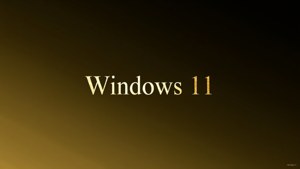 Windows 11 標誌以金色文字顯示於由深色漸變至金色的背景上