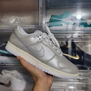 手拎住銀色Nike Dunk Low波鞋，後面有透明盒裝住其他波鞋。