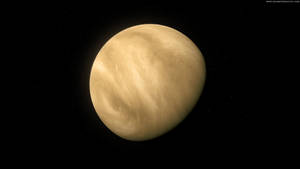 金星在太空中發光，帶有旋轉的雲層，背景是星空 — 行星 壁紙
