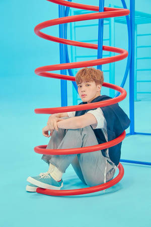 年輕男子坐在紅色螺旋形遊樂場結構內，藍色攝影棚 — Jimin GIF 壁紙