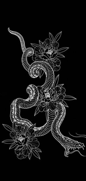黑色背景上，一條白色線條藝術的蛇與牡丹纏繞。 — 東方龍 壁紙