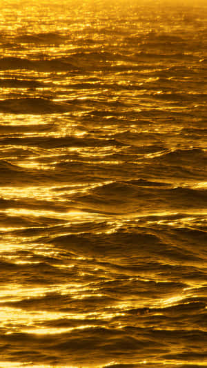 金色夕陽反射在漣漪的海浪上。