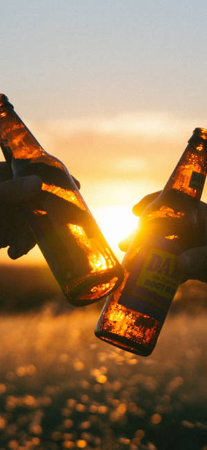 兩隻手在金色夕陽下用啤酒瓶乾杯