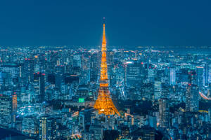 夜晚點亮的東京塔及下方的城市燈光。 — 日本 壁紙