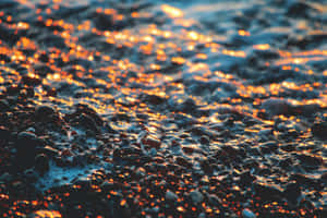 海灘上濕潤的鵝卵石閃爍著金色的夕陽倒影。