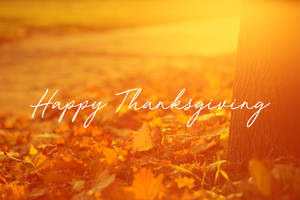 秋葉和樹幹，在溫暖陽光下帶有「Happy Thanksgiving」文字。