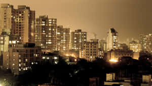 密集市區的夜景，窗戶發光，樹木深色。 — 天際線 壁紙
