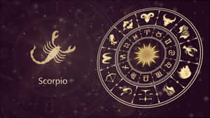黃道輪盤，天蠍座及所有十二星座在星光閃爍的深色背景上發出金色光芒。 — 星座 壁紙