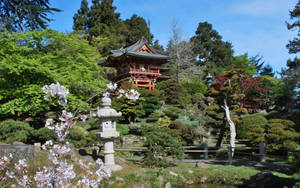 傳統日本花園 寶塔 櫻花 石燈籠