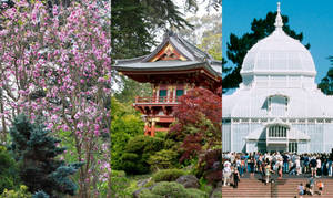 三個風景如畫的花園場景：開花的樹木、日本亭閣和擠滿人群的玻璃溫室。